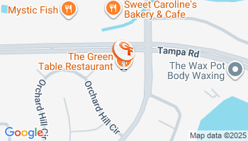 Palm Harbor, FL Umbrella Insurance Agency